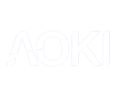 Sistema ERP AOKI
