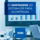 vantagens do sistema erp
